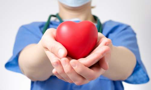 Doctor holding a heart